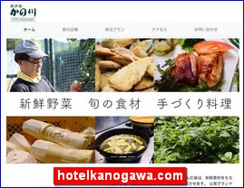 Hotels in Japan, hotelkanogawa.com